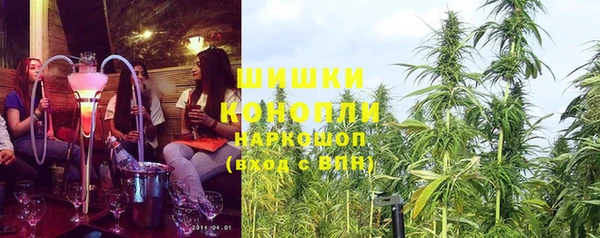 дживик Бронницы