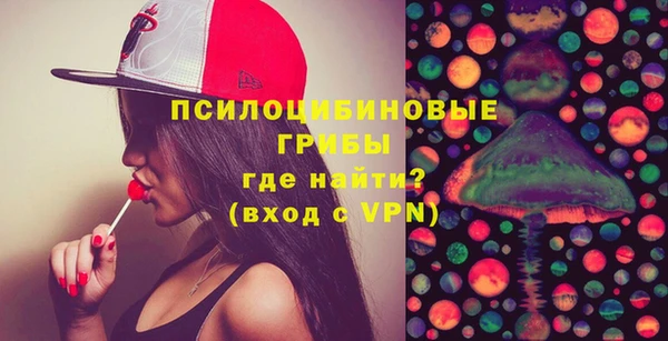 a pvp Осинники