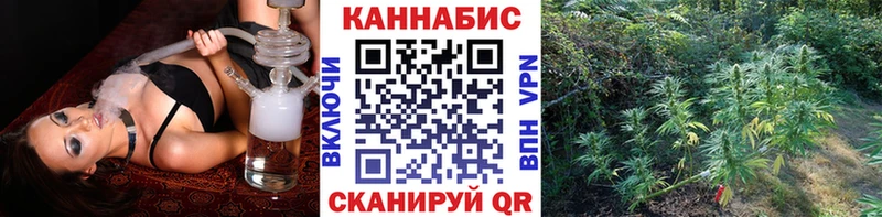 Марихуана семена  Камбарка 